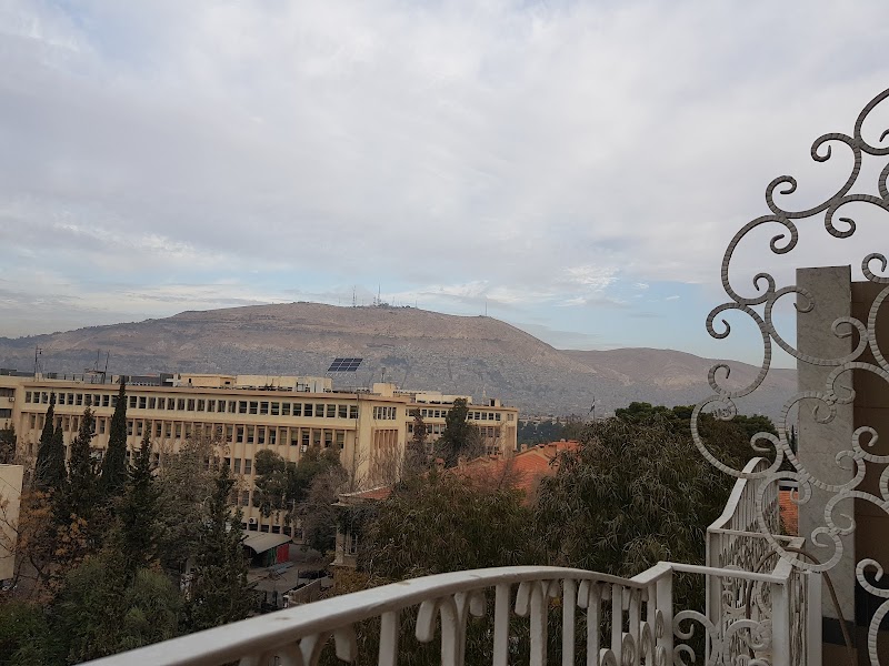 فندق العامر 3