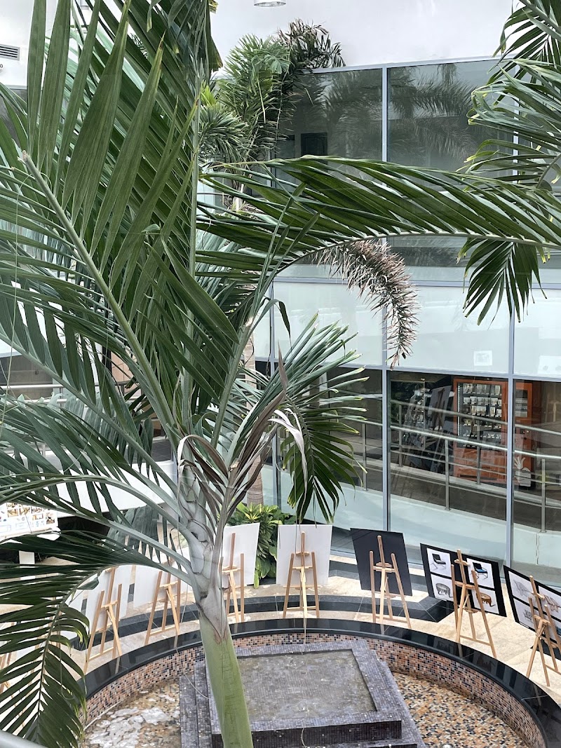 كلية بوكسهل الكويت 4