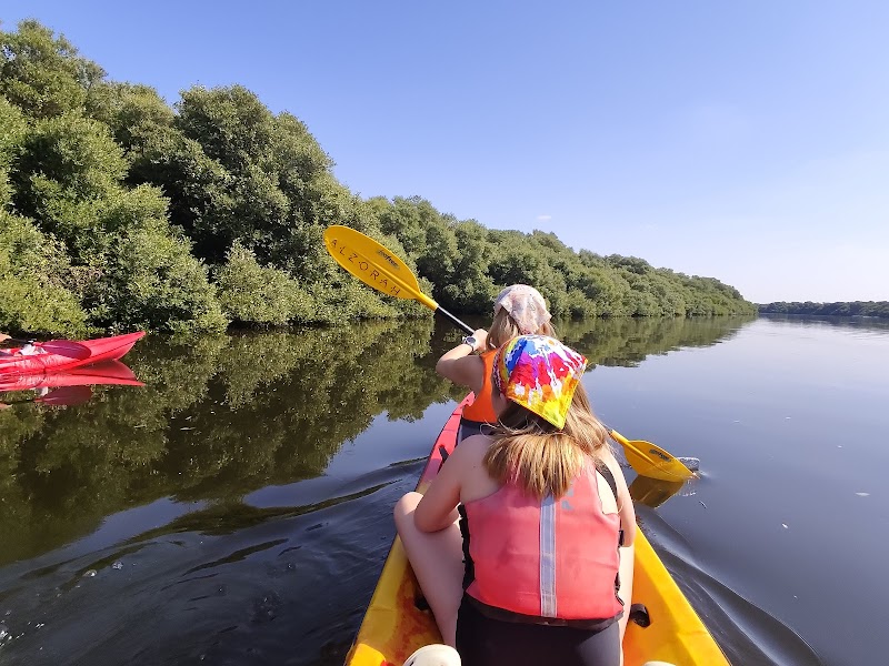 جولات غابات المنغروف الزوراء
