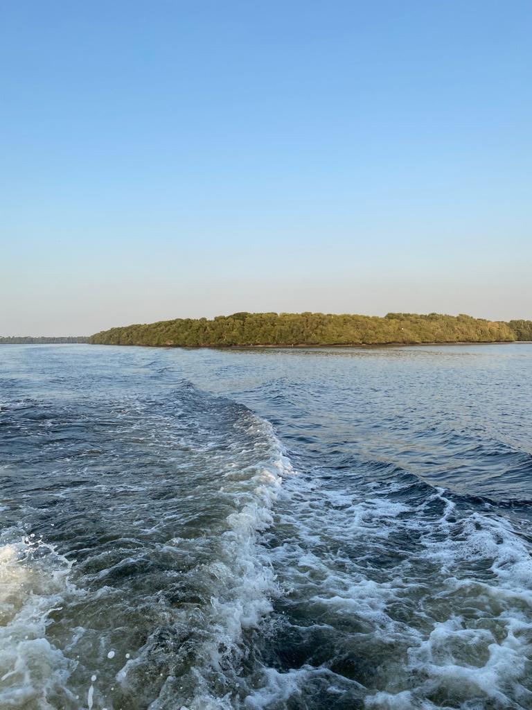 جولات غابات المنغروف الزوراء 4