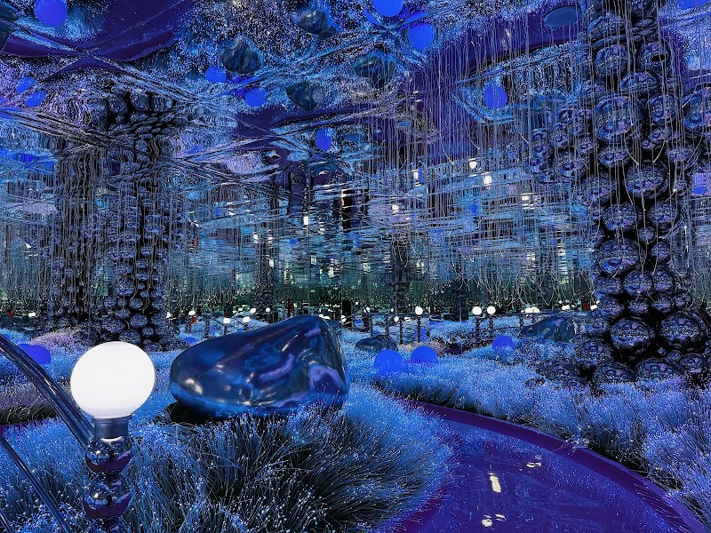 هاوس أوف هايب 4