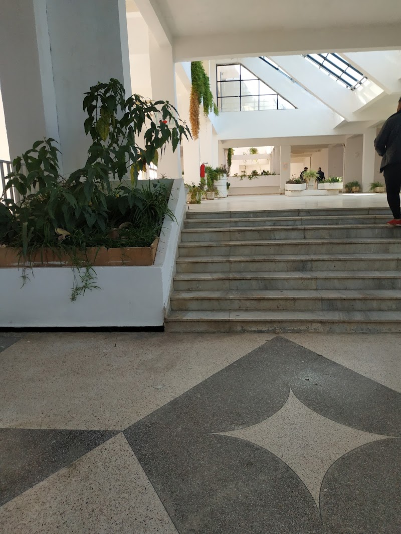 معهد الحقوق تيجاني هدام 4