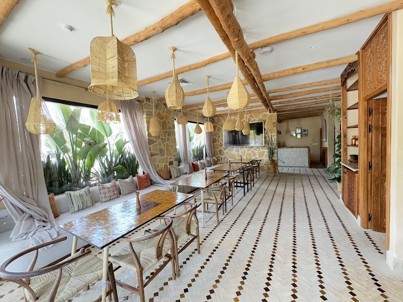 فندق بالم سيرف وسبا 4