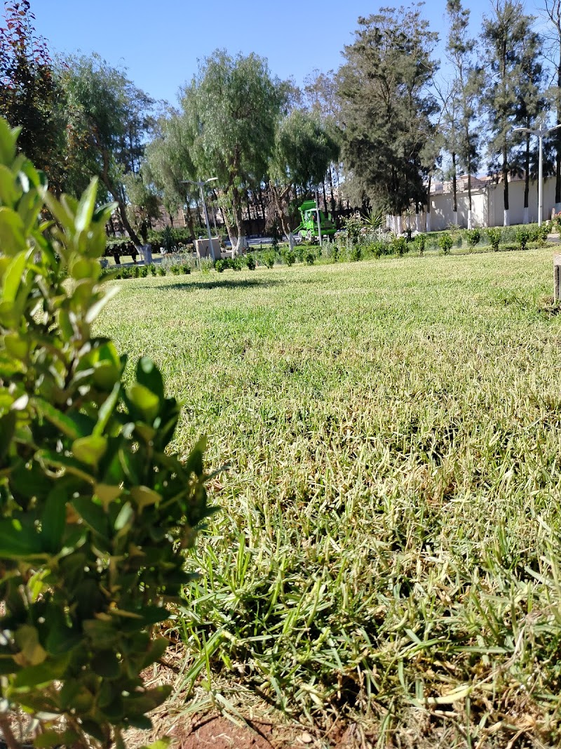 المدرسة العليا للصيرفة البنكية 4