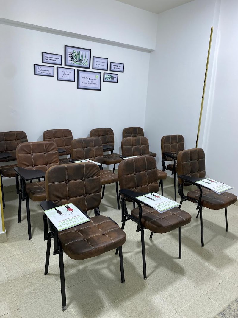 أكاديمية 12 Levels