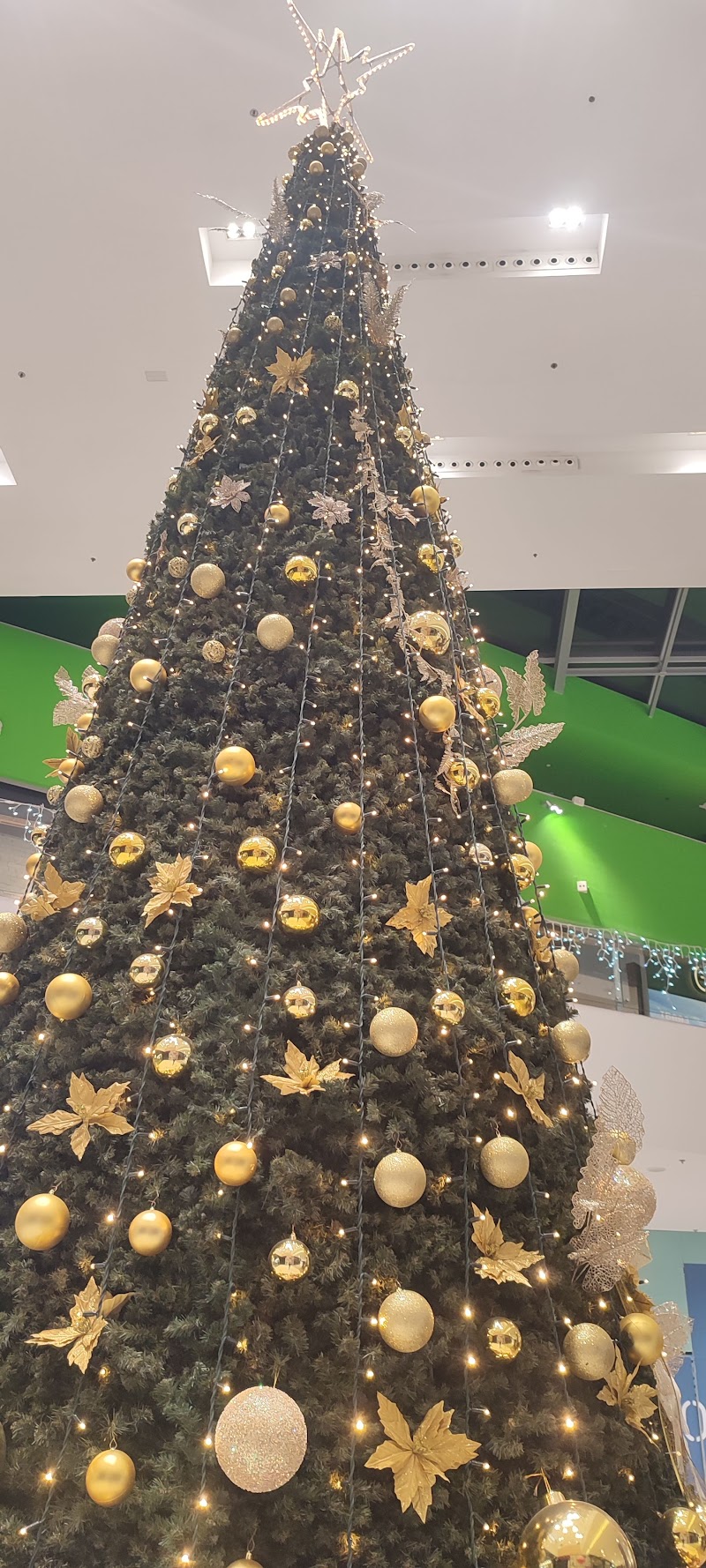 أولغا طنجة سوكو ألتو 3