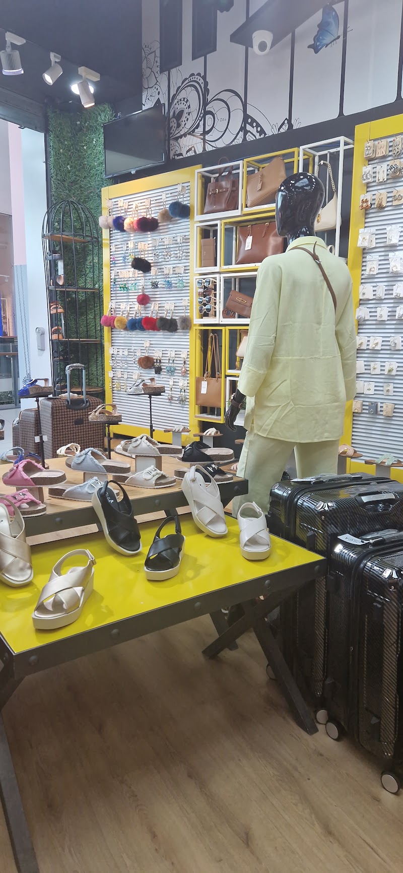 أولغا طنجة سوكو ألتو 4