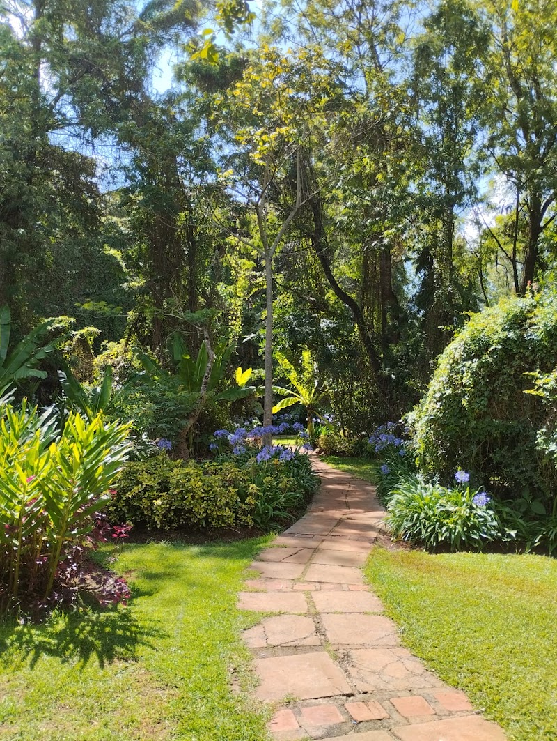 مطعم تاماريند براسيري 4