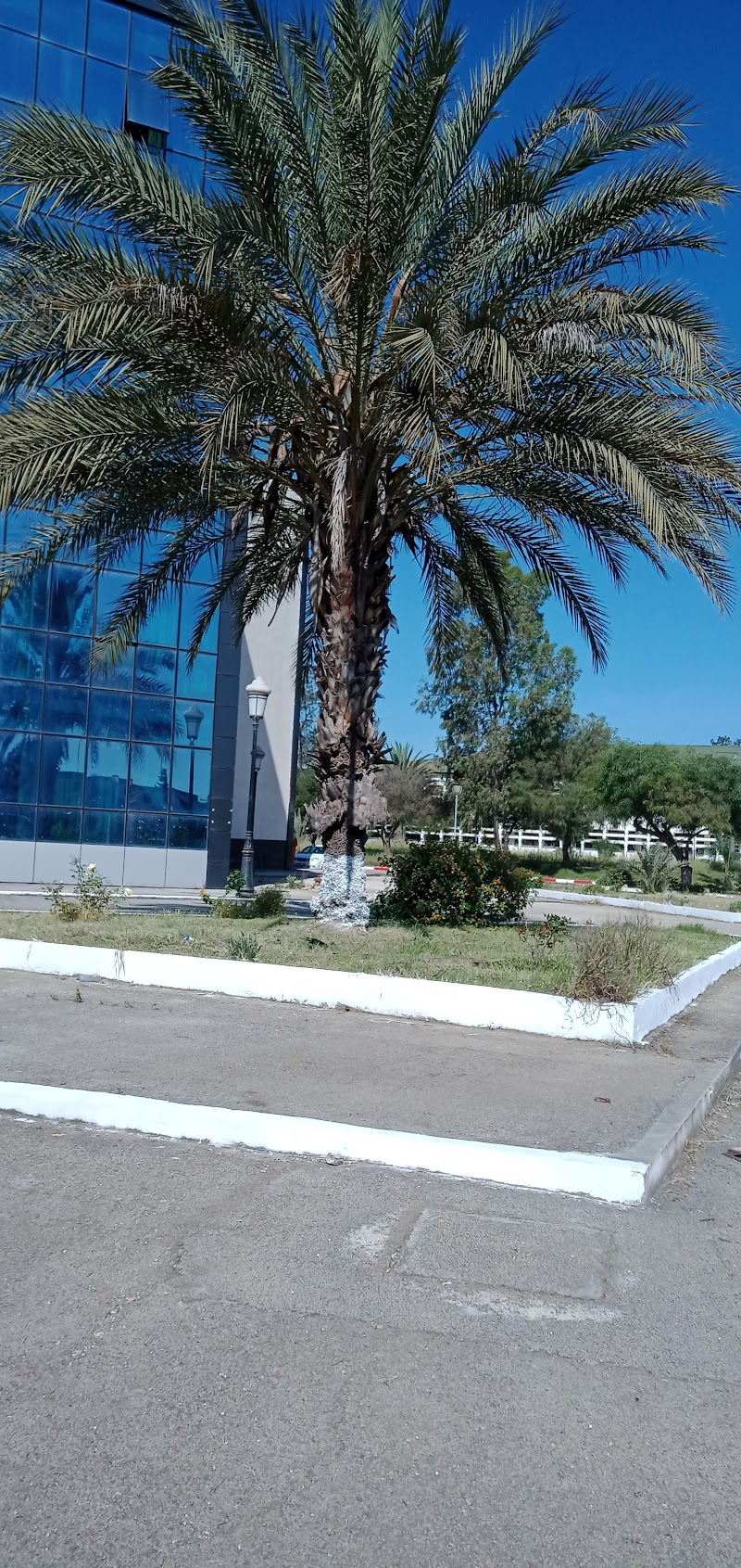 مديرية الجامعة باجي مختار - عنابة (القطب الجامعي سيدي عمار) 4