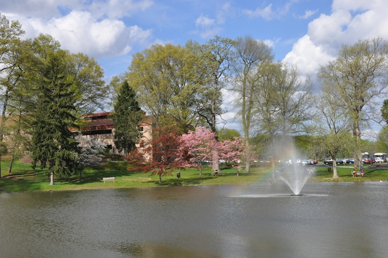 جامعة كيرن 4