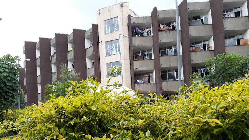 جامعة أرمي مينش