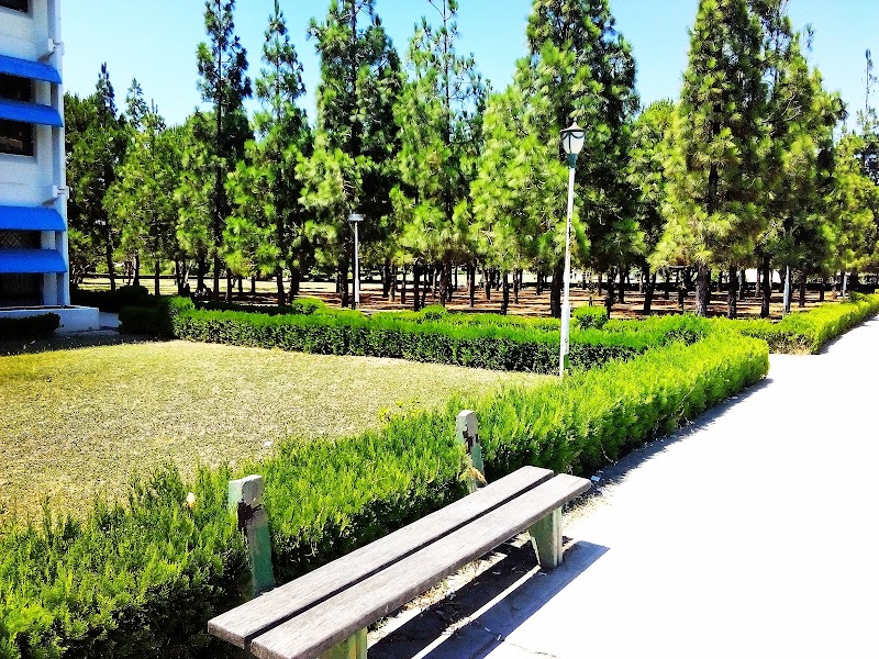 كلية العلوم 3