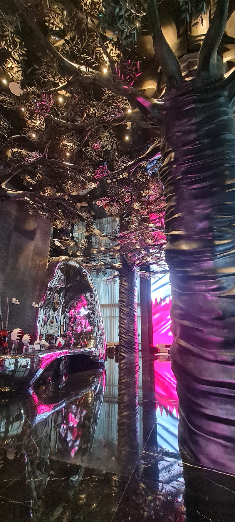 سبا شجرة البانيان الدوحة 2